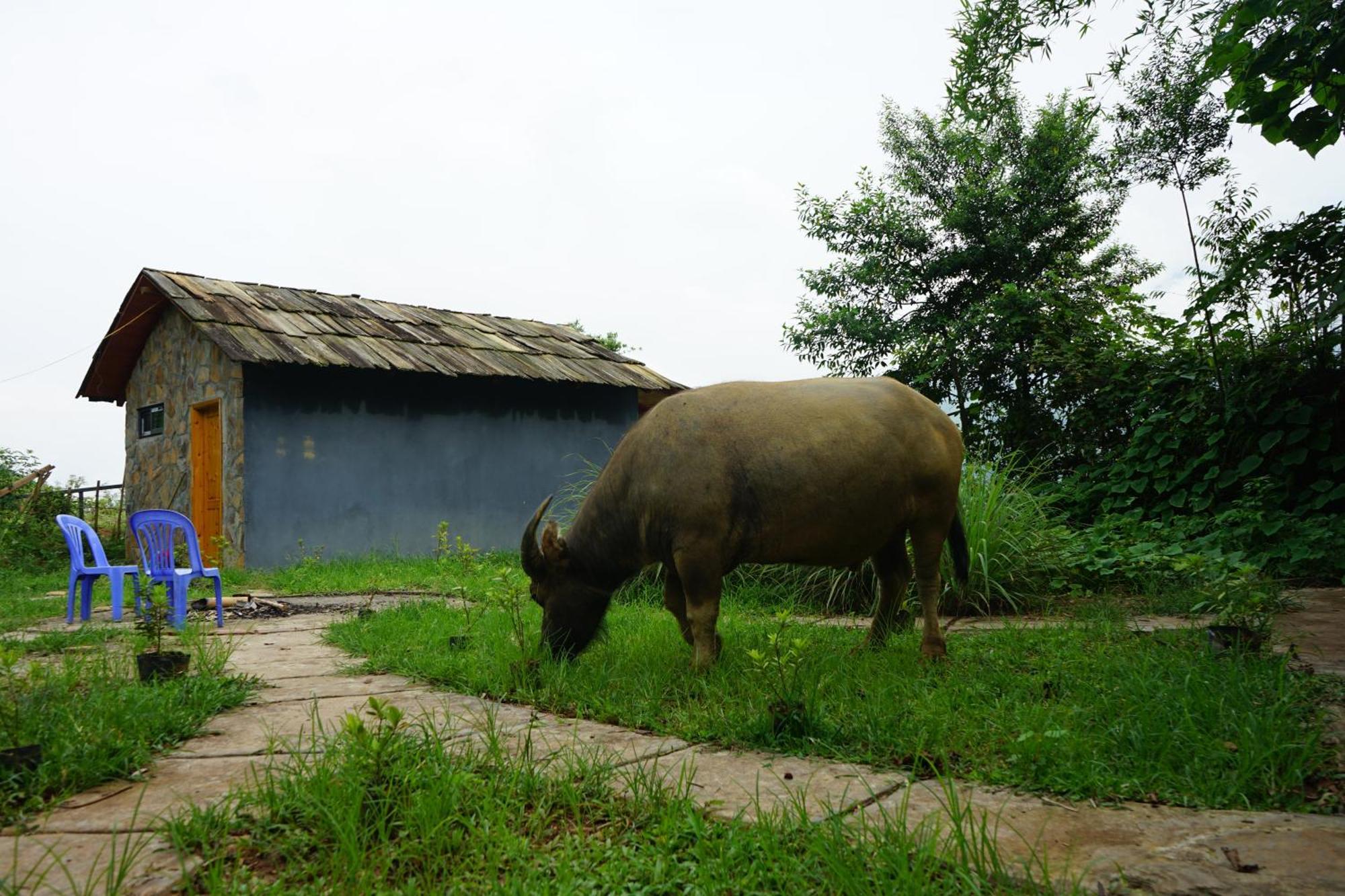 Sapa Hillcrest Homestay หล่าวกาย ภายนอก รูปภาพ